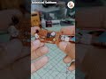How to make a ir sensor|| homemade proximity sensor #proximitysensor #irsensor #shorts
