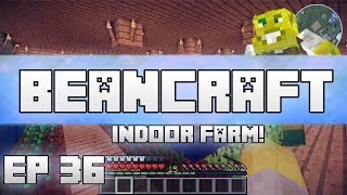 Indoor Farm Beancraft Episode 36