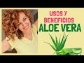 🟢 Aloe Vera: usos y beneficios en el cabello. Usando Aloe Vera de Mercadona