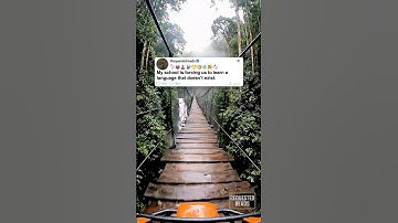 My school is forcing us to learn a language that doesn’t exist.