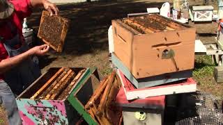 How to checker board a DD 8 frame bee hive