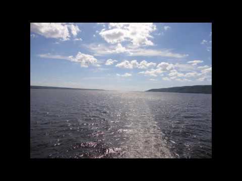 VITAS' Voice_May 15_2020_by VE