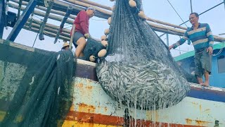 Meskipun Ikan Tembang, Paling Tidak, Perbekalan Perahu Kami Gak Utang Lagi - Vlog Nelayan Story