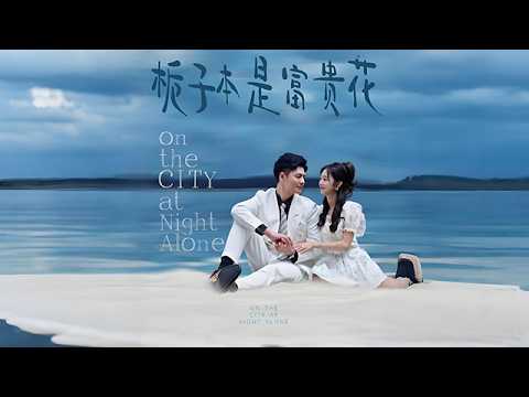 真假千金：哥哥助妹妹逆襲復仇