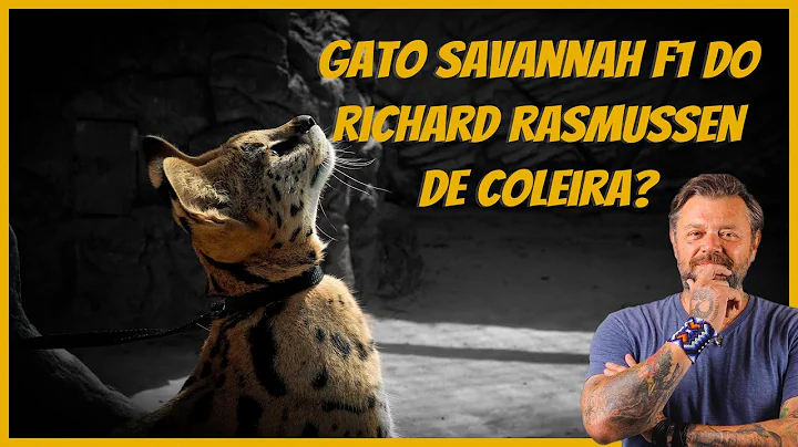 Video 10602271: f1 savannah cat, savannah cat walking, leash train walk cat