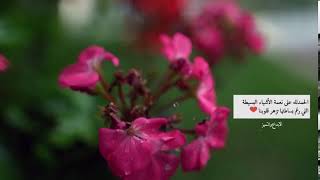 اجمل فيديو  | حالات واتس اب screenshot 2