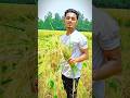 ঈদে দেড় লাখ টাকার মার্কেট করেছে প্রবাসীর বউ জরিনা...!! #eid #qurbani #rice #farmar #market