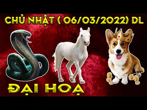 Video Tu Vi Hang Ngay, 3 Con Giáp Khổ Tận Cam Lai, Vượt Qua... - youtube