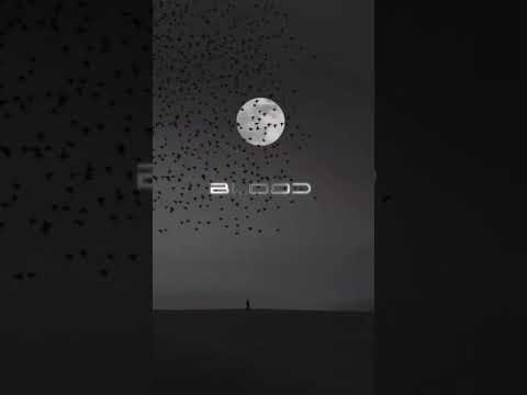 On My Way Song Lyrics Givemelove Song Happylife Musiclyrics Music Aestheticfyp Songlyrics