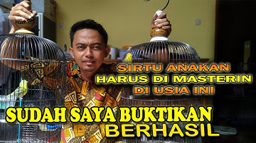 SIRTU ANAKAN LOLOHAN HARUS DI MASTERIN DI USIA BERAPA BULAN? GAK NYESEL PAKAI CARA INI