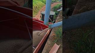 Bora Trabalhar  #agro #pecuarista #trator #fazenda