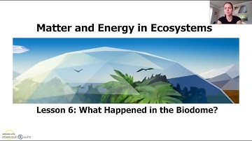 Matter and Energy in Ecosystems: Lesson 6 Part 1
