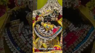Today Darsan Merepyarebakeybihariji Virndavan Dham Darsan