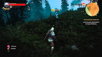 Witcher 3 - Drowner Fight
