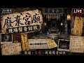 「204檔案」正在直播！