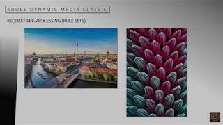 Dynamic Media Classic Rule Sets