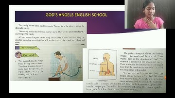 Lesson No. 11 - A look inside the body for STD : 4th