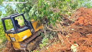 The Great Power Small Caterpillar D5K Bulldozer Working in The Woods P3