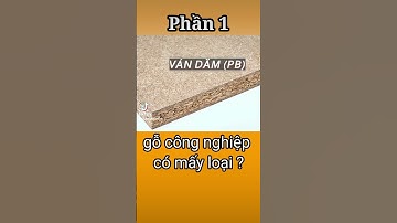 gỗ công nghiệp là gì? có mấy loại gỗ công nghiệp.? #Gỗ_công_nghiệp