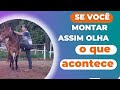 Como fazer o cavalo ficar parado para montar . Como montar correta-mente no cavalo .