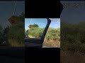LAPD Officer-Involved Shooting Following Freeway Pursuit in Los Angeles | Bodycam Footage