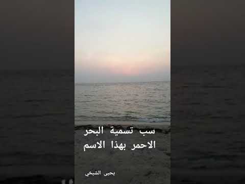 سبب تسمية البحر الاحمر بهذا الاسم يحيى الشيخي