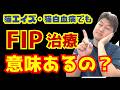 【猫エイズ・猫白血病】それでもFIP治療を考える意味はあるのか？論文で見えた希望と現実｜第155話＠猫伝染性腹膜炎