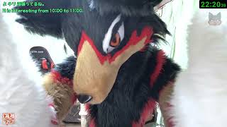 【Fursuit/獣化#158】水曜のもふもふタイム🐶🐾【ジュージュー/JuuJuu】#fursuit #獣化 #live