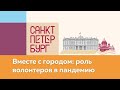 Поддержка Петербурга: в волонтёрские отряды набрали почти 500 добровольцев