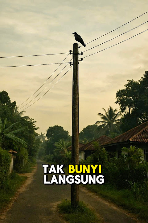Gagak Atas Tiang Elektrik #horror #horrorstories #kisahseram #seram #kisahnyata #viral #hantu #yt