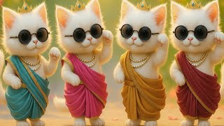 Cat dance video | Cat videos | Funny cat dance 😻💃 | Videos for cats cat dance screenshot 2