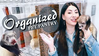 Organizing My Pet Room