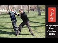 Yin style baguazhang lion cutting skills   