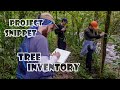 IPBio project snippet: tree inventory