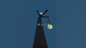 واتس اب قران كريم القارئ سعد الغامدي  سورة (الفلق)