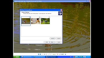Printing Photos with Windows Picture and Fax Viewer - 4x6, 8x10, 5x7, Etc.