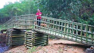 How To Building Bridge With Bamboo & Many Stone - The Bridge Was Completed / Daily Farm