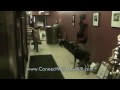 Buffalo, NY Dog Training, Aggressive Doberman, K-9 Connection Buffalo, NY Dog Training, Aggressive Doberman, K-9 Connection