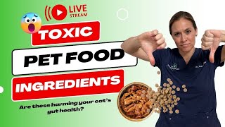 Toxic Pet Food Ingredients  Are these harming your pet’s gut health?