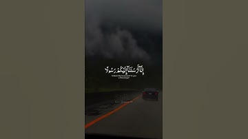 اكتب شي تؤجر عليه 🤍 | القارئ عبدالرحمن مسعد | قرآن كريم