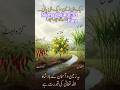 🤲🤲🤲 Nawaz ke farj