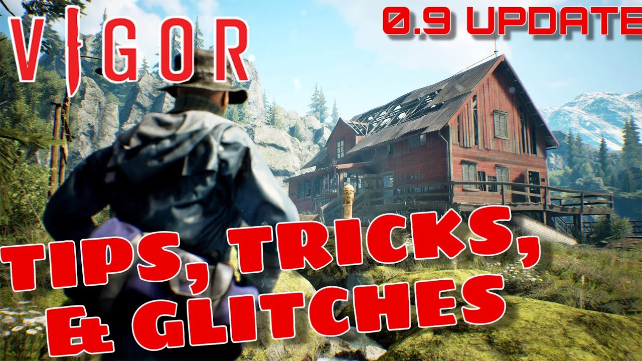 Vigor THINGS YOU MIGHT NOT KNOW Vigor Tips, Tricks, & Glitches