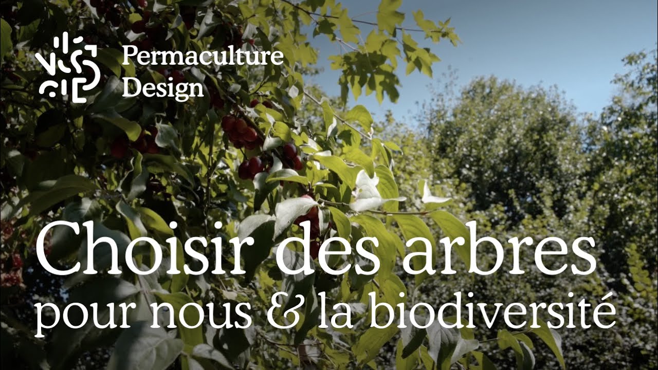 Choisir des arbres pour la biodiversité dans votre jardin en permaculture