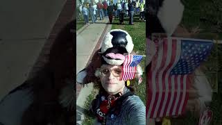 NO KINGS Protest (Windsor, CT) Oct18th2025 - Jackie The Deer #nokings #nokingsprotest #connecticut
