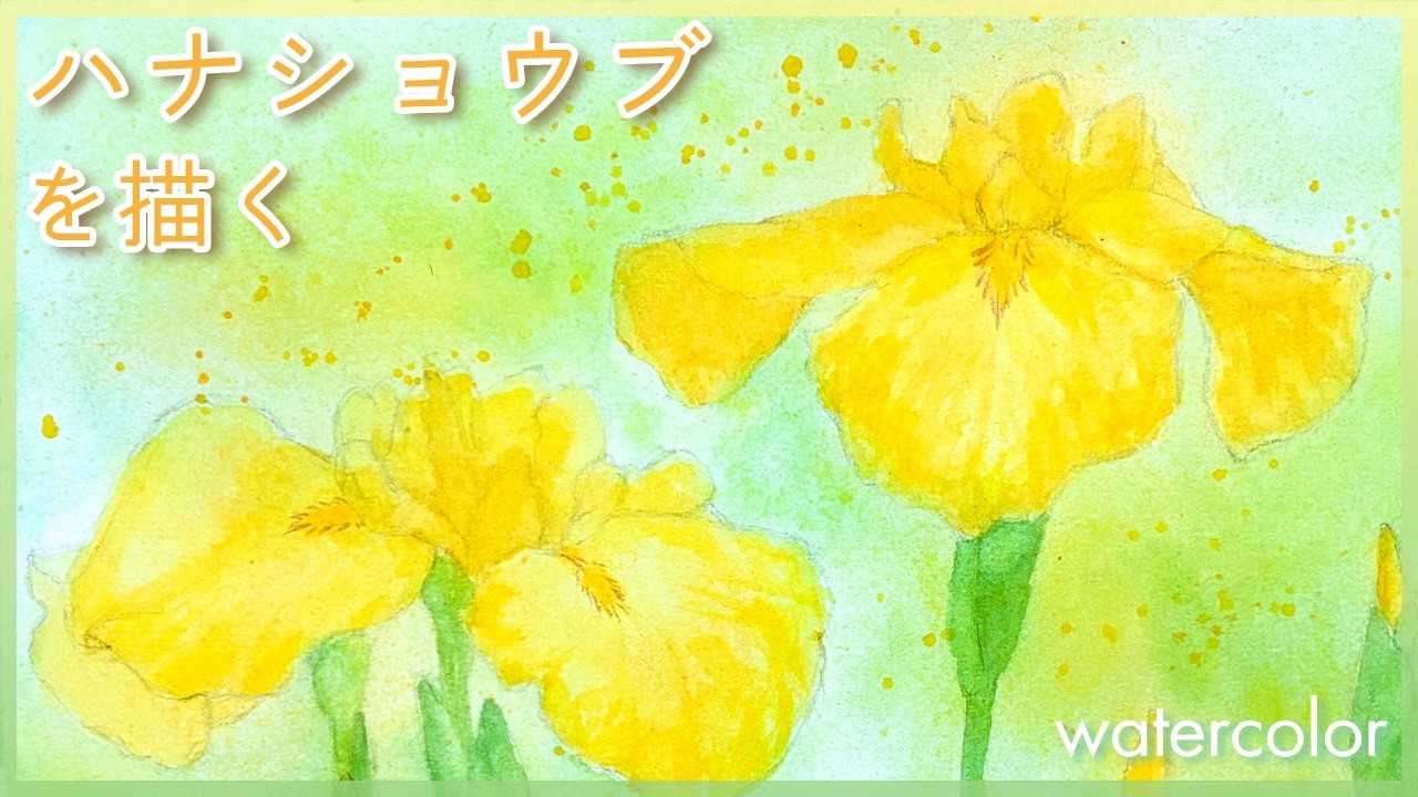 Japanese Iris | Painting an Early Summer Flower in Watercolor