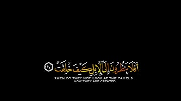 تلاوة هادئة وقصيرة  || القارئ :عبد الله الموسئ || سورة : الغاشية 🌷💚🌷
