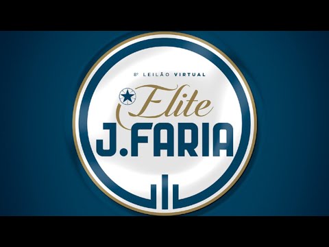 Lote 28 (NELF 792 / 1000 / 1174 / 1133)