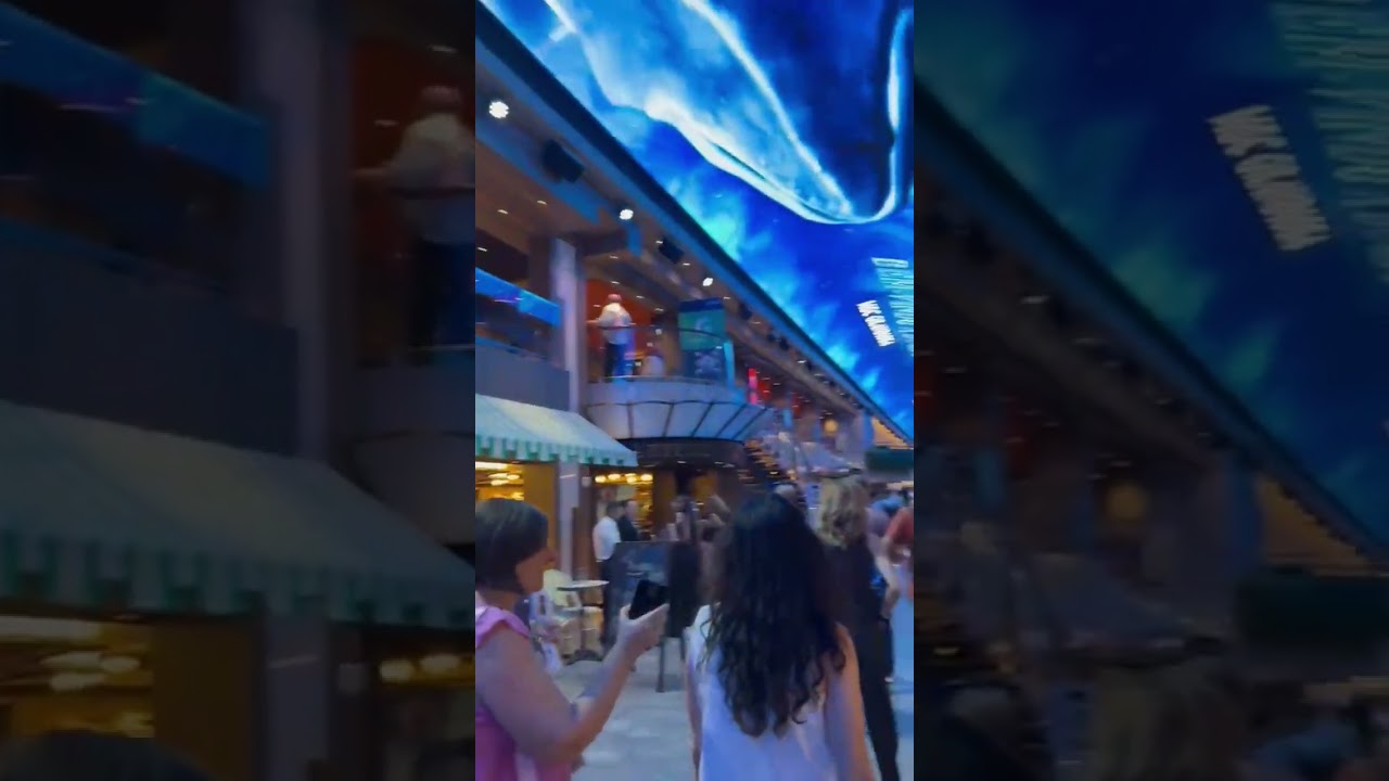 MSC Grandiosa Galería