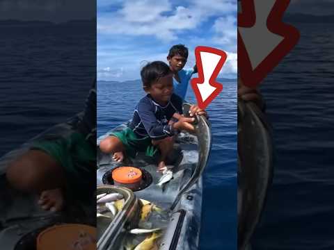 Video: Paano Panatilihing Buhay ang Bait Shrimp Nang Walang Tubig