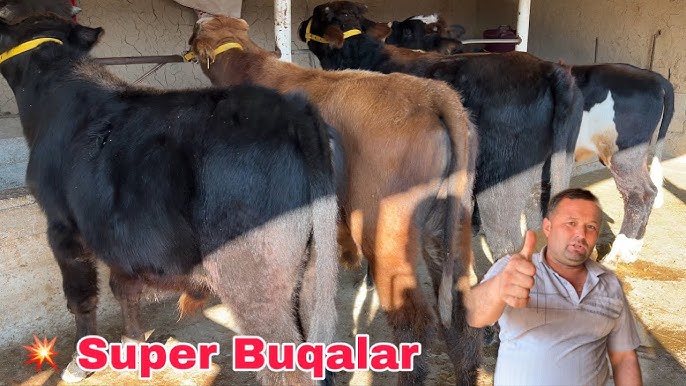 Qiz yechinib onanizm bilan shugullanadi